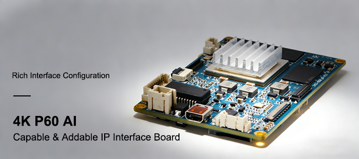 4KP60 AI IP interface board