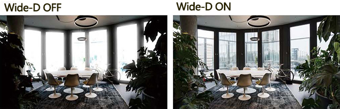 Wide-D