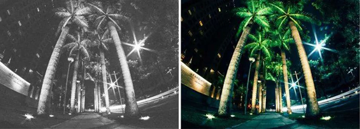Low-light cameras vs. Infrared cameras