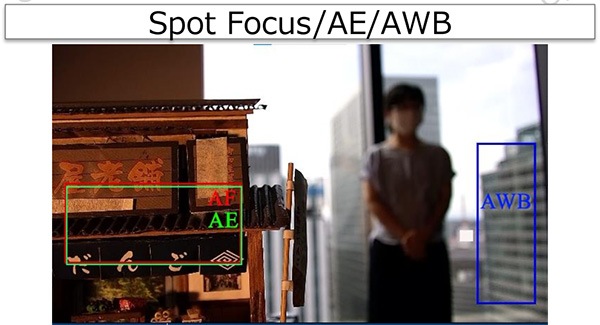 SONY FCB-EV9520L spot focus