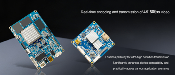 4KP60 video output interface board