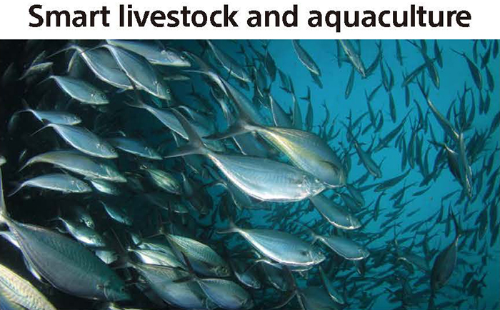 Smart livestock and aquaculture
