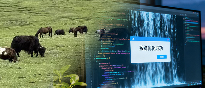 25b2916b5c49db617f5241-1