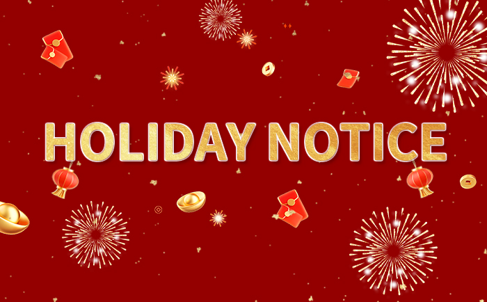 SONY (China) authorized agent Ruiloog Electronics 2025 Spring Festival holiday notice - Company News - 1