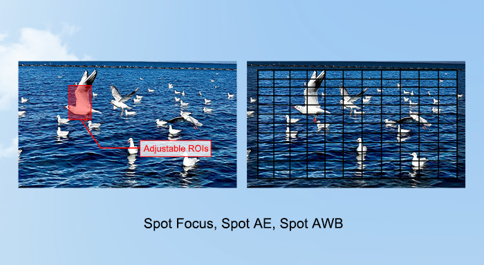 FCB-EV9500M Spot Focus,Spot AE,Spot AWB